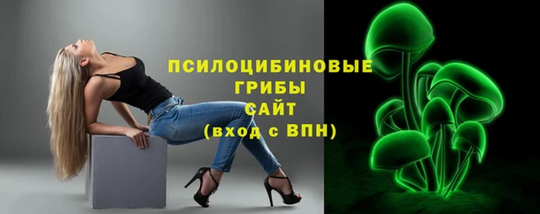 СК Аркадак