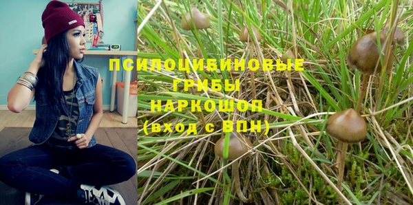 2c-b Балабаново