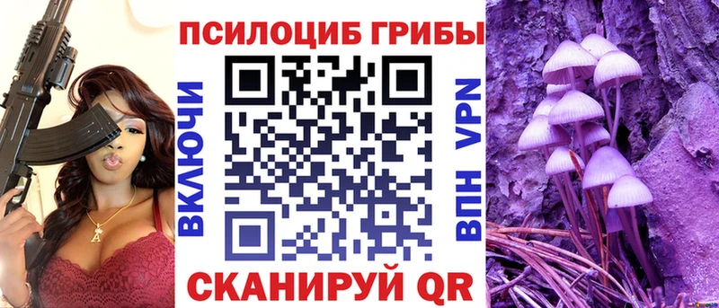 Галлюциногенные грибы Psilocybe  Пестово 