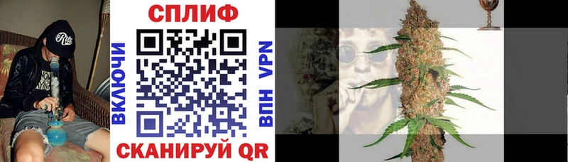 купить наркотик  Пестово  Конопля семена 